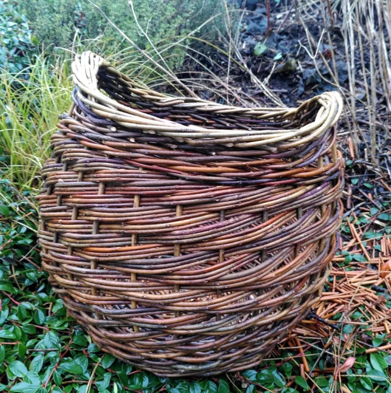 Introduction to Basketry, 4 week course