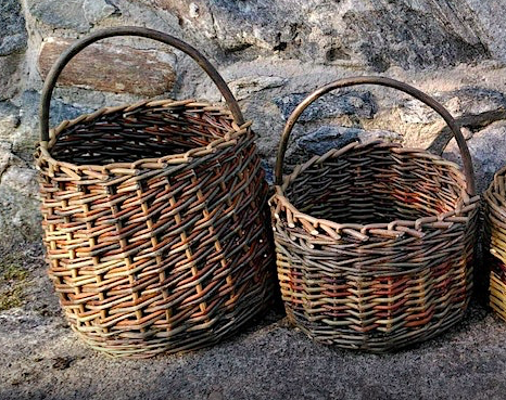 Basket Willow Weaving