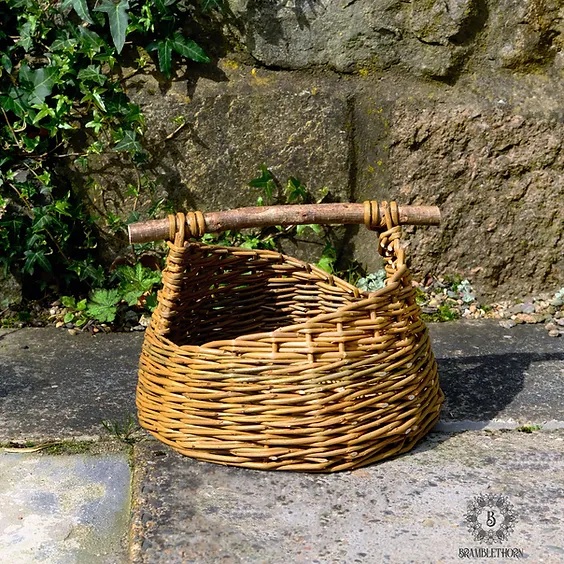 An Introduction to Basket Making