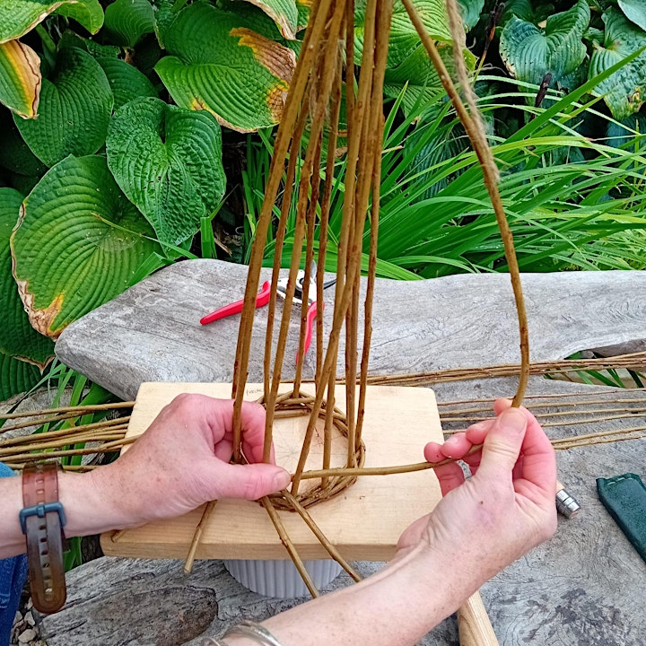 Introduction to willow weaving