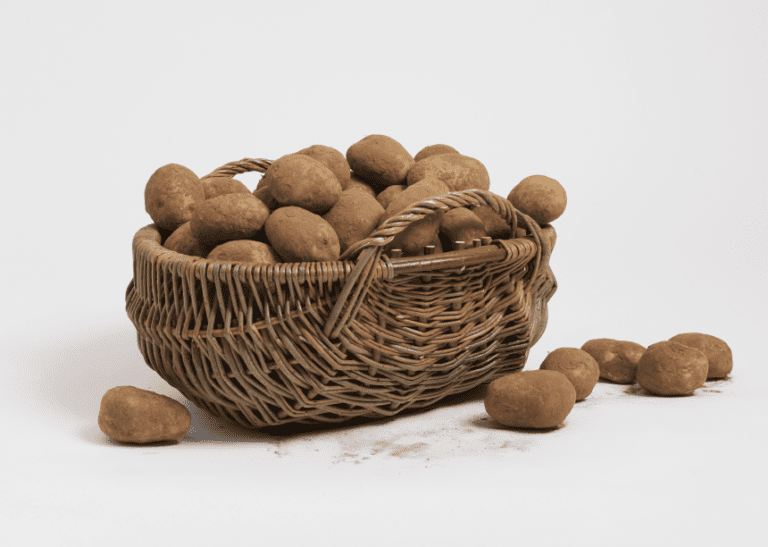 Basketry: Rescuing, Reviving, Retaining Traditional Baskets in the British Isles