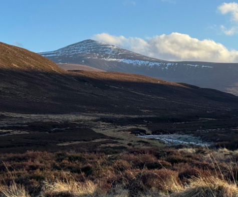 Cairngorms 2030 Residency