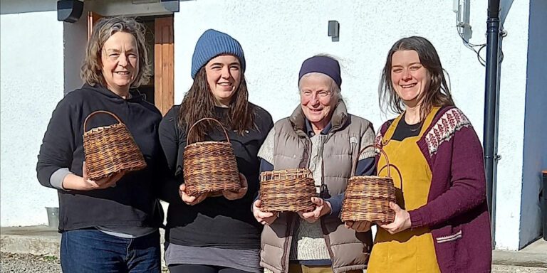 Willow basketmaking workshop