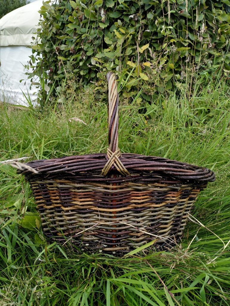 Weave a round foraging/shopping basket
