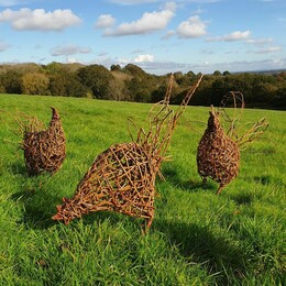 Judith Needham autumn classes