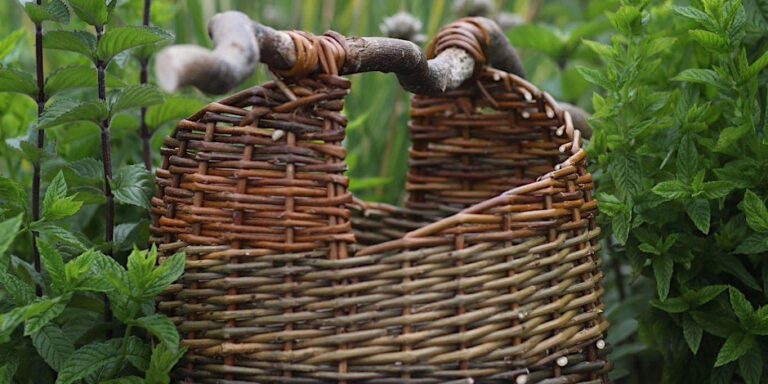 Asymmetric Willow Basket Workshop