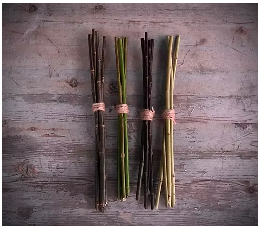 Deeside Willow- Willow Supplier