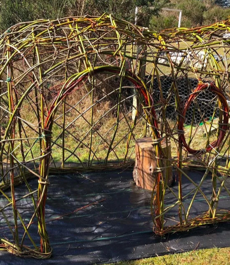Living willow dome workshop