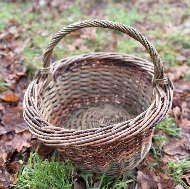 Round Foraging Basket