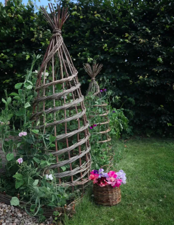 Sweet Pea Support