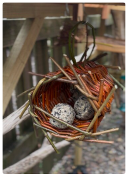Willow Weaving Workshop for Teens