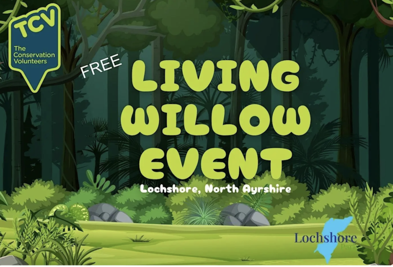 Living Willow Event