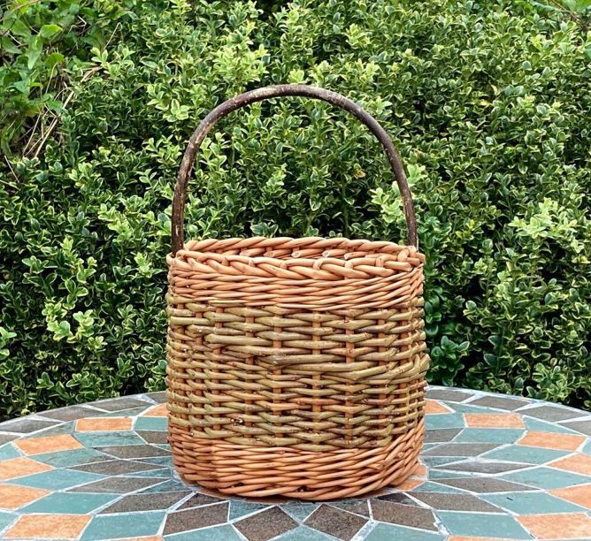 Willow Weaving Basketry