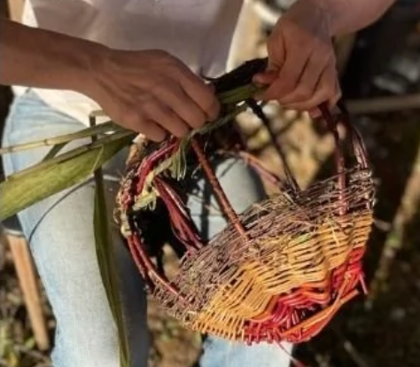 Forage your own hedgerow basket